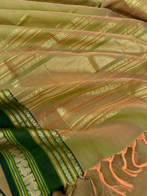 Zari Kissed Silk Cotton - unusual carrot orange and green mixed dual tone with annapakshi woven borders