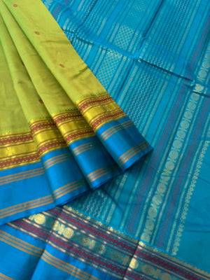 Divyam - Korvai Silk Cotton with Pure Silk Woven Borders - fresh green and blue