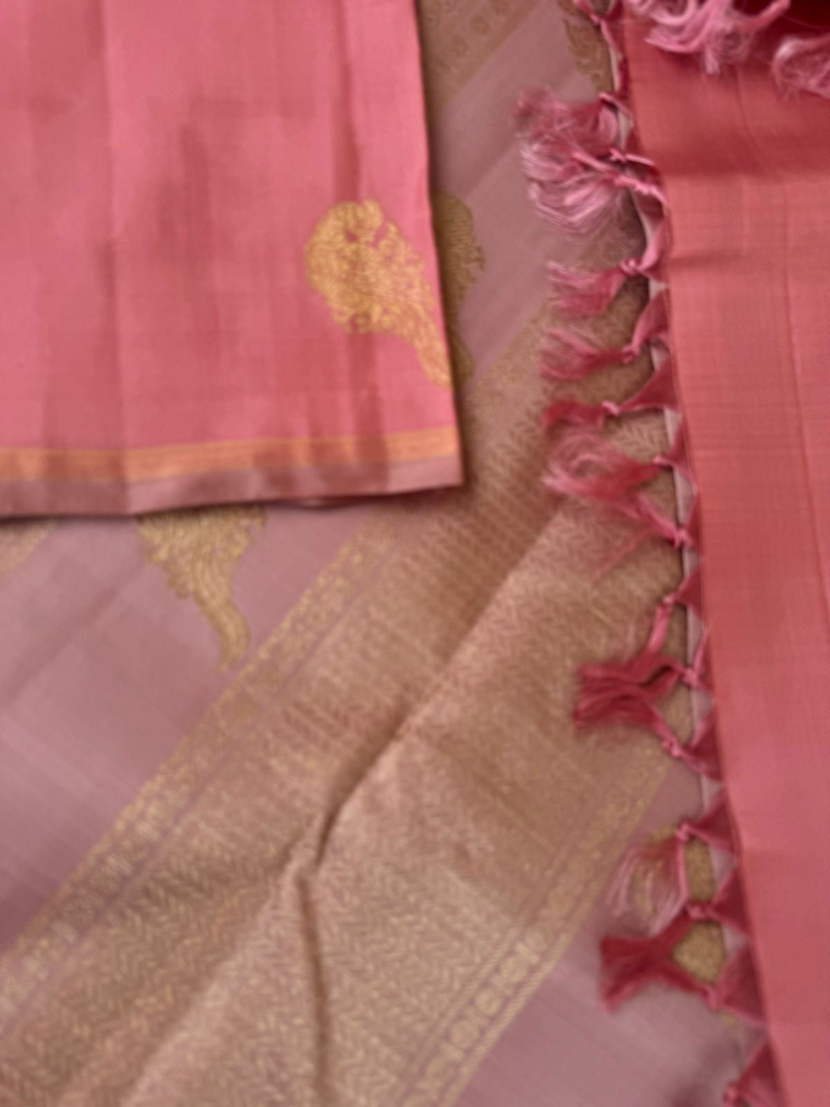 Mohaa - Beautiful Pastel Borderless Kanchivarams -