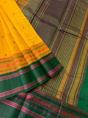 Divyam - Korvai Silk Cotton with Pure Silk Woven Borders - traditional at the best mustard and green