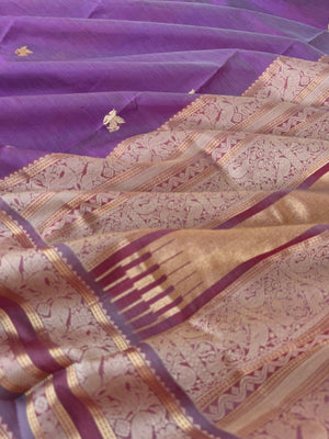 Zari Kissed Silk Cotton -micro thin strips body with gorgeous contrast pallu and blouse