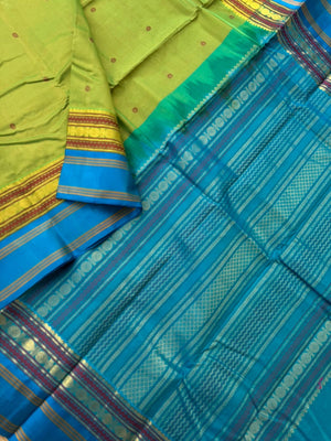 Divyam - Korvai Silk Cotton with Pure Silk Woven Borders - fresh green and blue