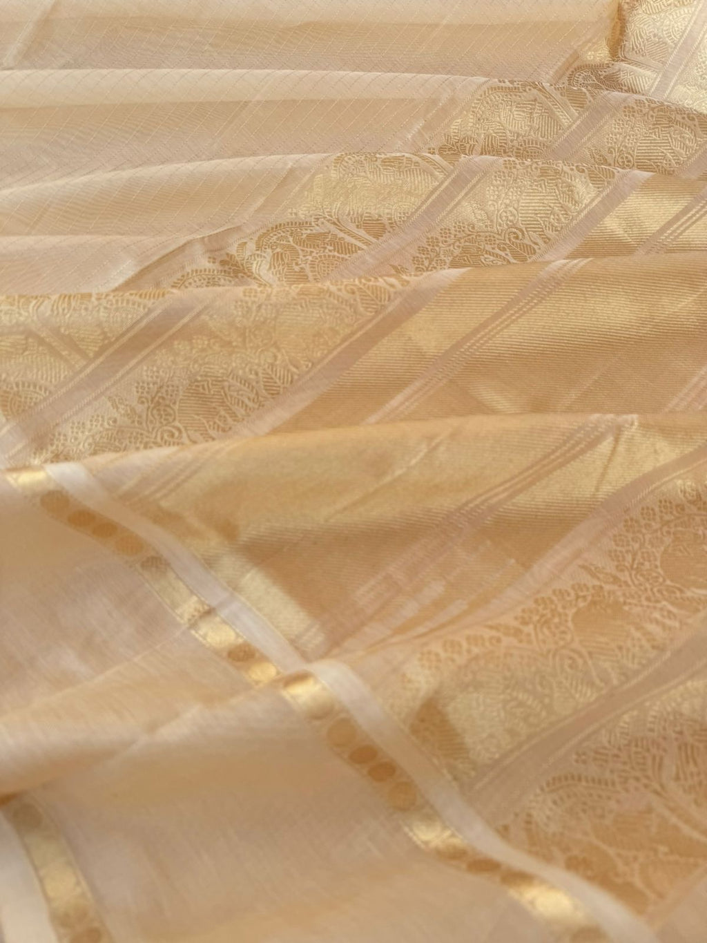 Zari Kissed Silk Cotton - stunning golden off white vertical muthu oosi strips