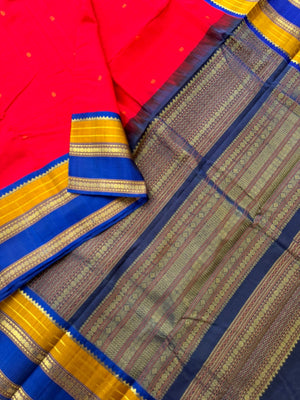 Divyam - Korvai Silk Cotton with Pure Silk Woven Borders - red and traditional woven borders