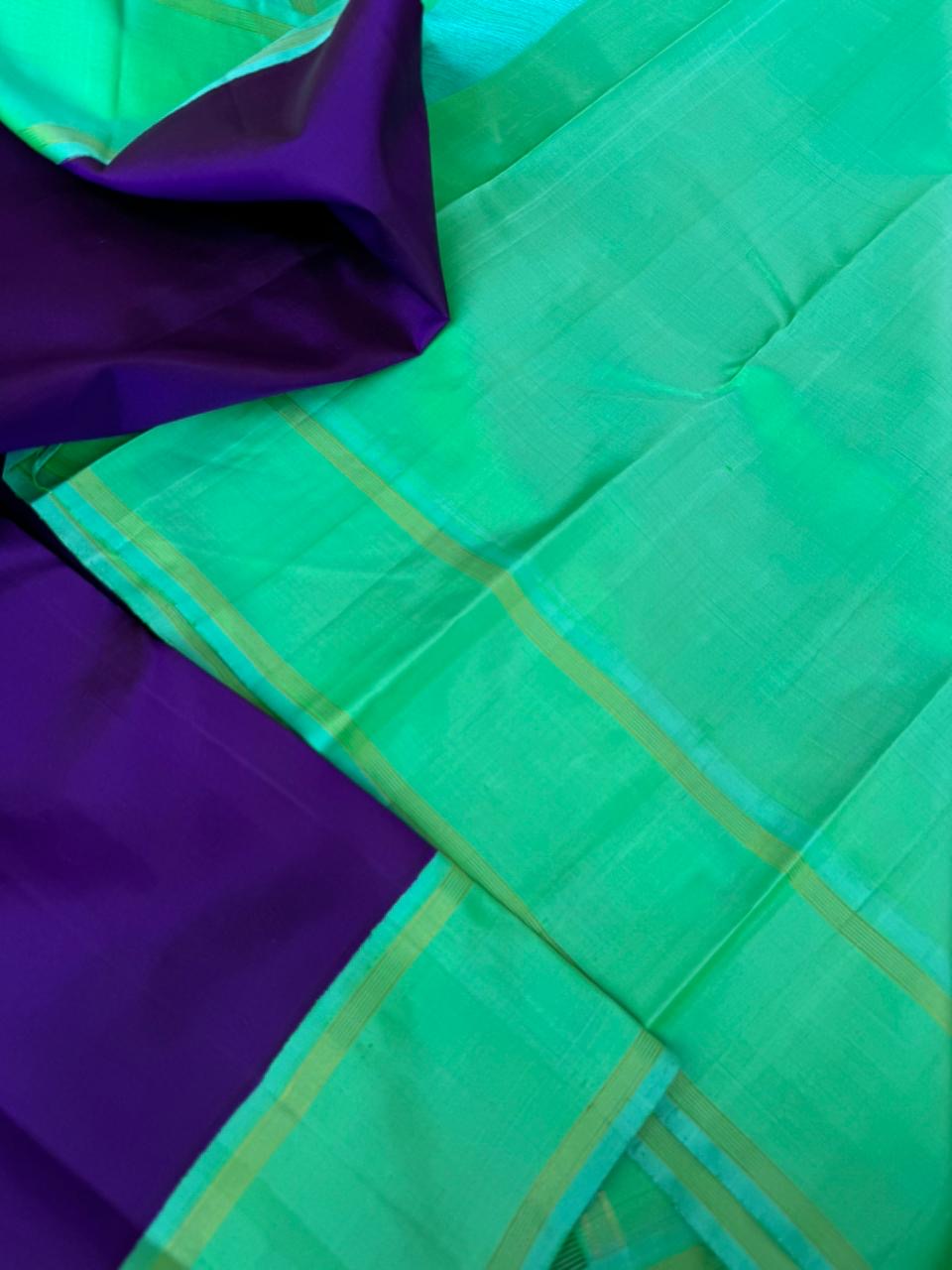 Album Untouched - deep violet blue plain body with aqua blue green korvai woven borders