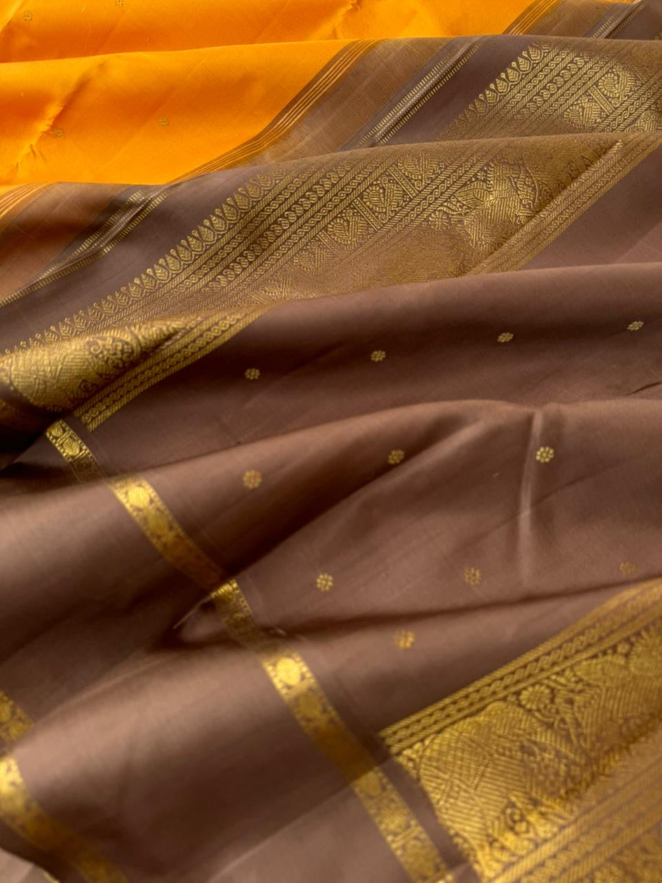 Album Untouched - stunning mustard and beige korvai woven borders with stunning pallu