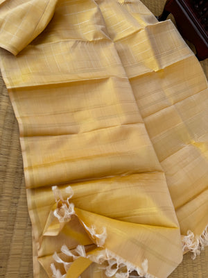 Ragas on Kanchivaram - stunning pastel butterscotch zari kattam