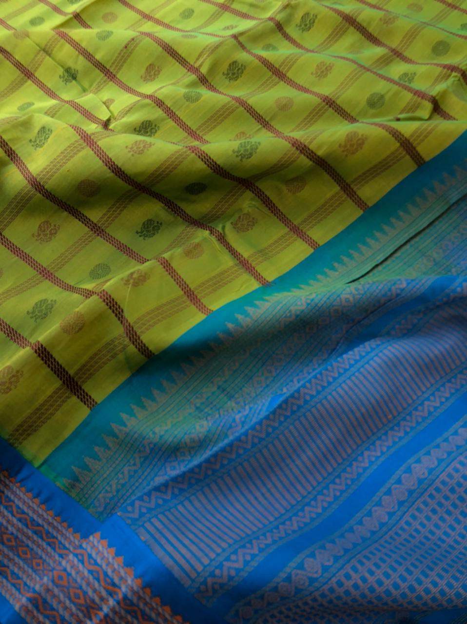 Divyam - Korvai Silk Cotton with Pure Silk Woven Borders - mustard mixed green 1000 buttas