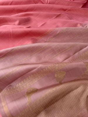 Mohaa - Beautiful Pastel Borderless Kanchivarams -