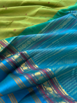 Divyam - Korvai Silk Cotton with Pure Silk Woven Borders - fresh green and blue