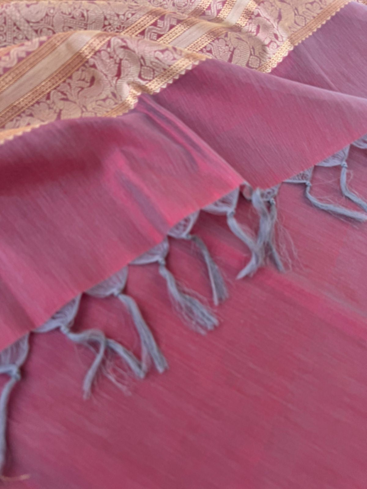 Zari Kissed Silk Cotton -micro thin strips body with gorgeous contrast pallu and blouse